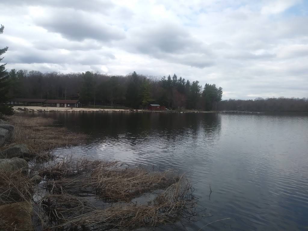 Thirsty Moose Saloon | restaurant | 428 Moseywood Rd, Lake Harmony, PA 18624, USA | 5702156128 OR +1 570-215-6128