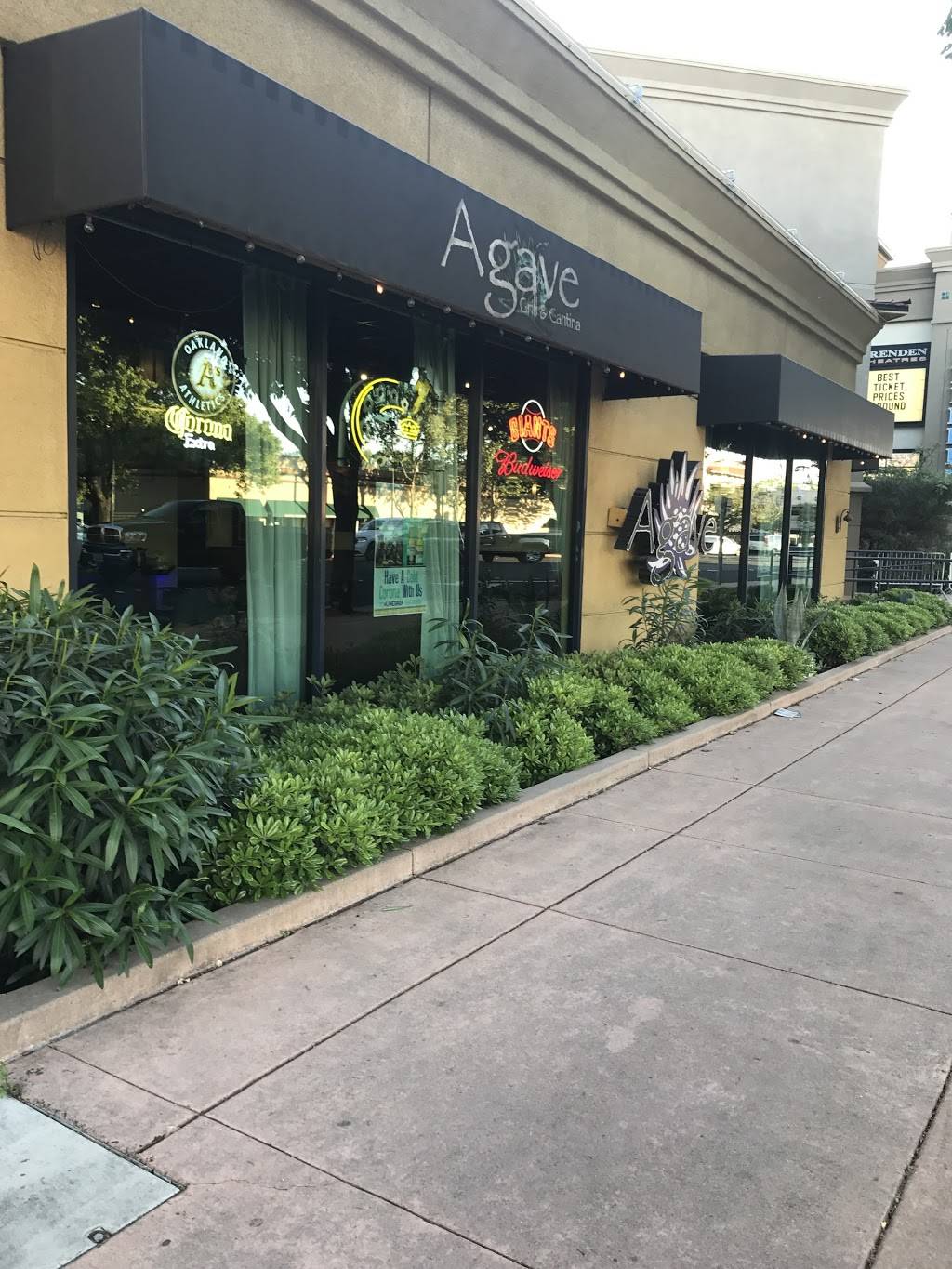 Agave Grill & Cantina | restaurant | 1935 Galindo St, Concord, CA 94520, USA | 9256765252 OR +1 925-676-5252