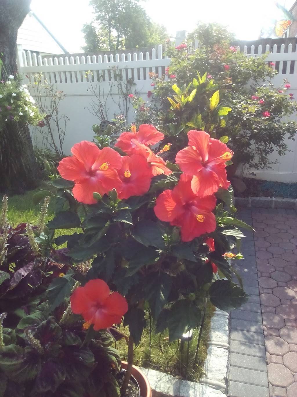 Papa Johns Pizza | restaurant | 583 W Merrick Rd, Valley Stream, NY 11580, USA | 5168237272 OR +1 516-823-7272