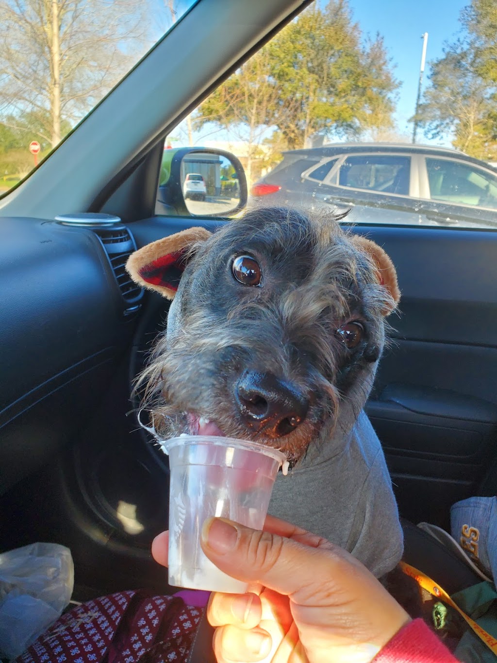 Starbucks | cafe | 1960 Gainsborough Ln, Tallahassee, FL 32311, USA | 8506566368 OR +1 850-656-6368