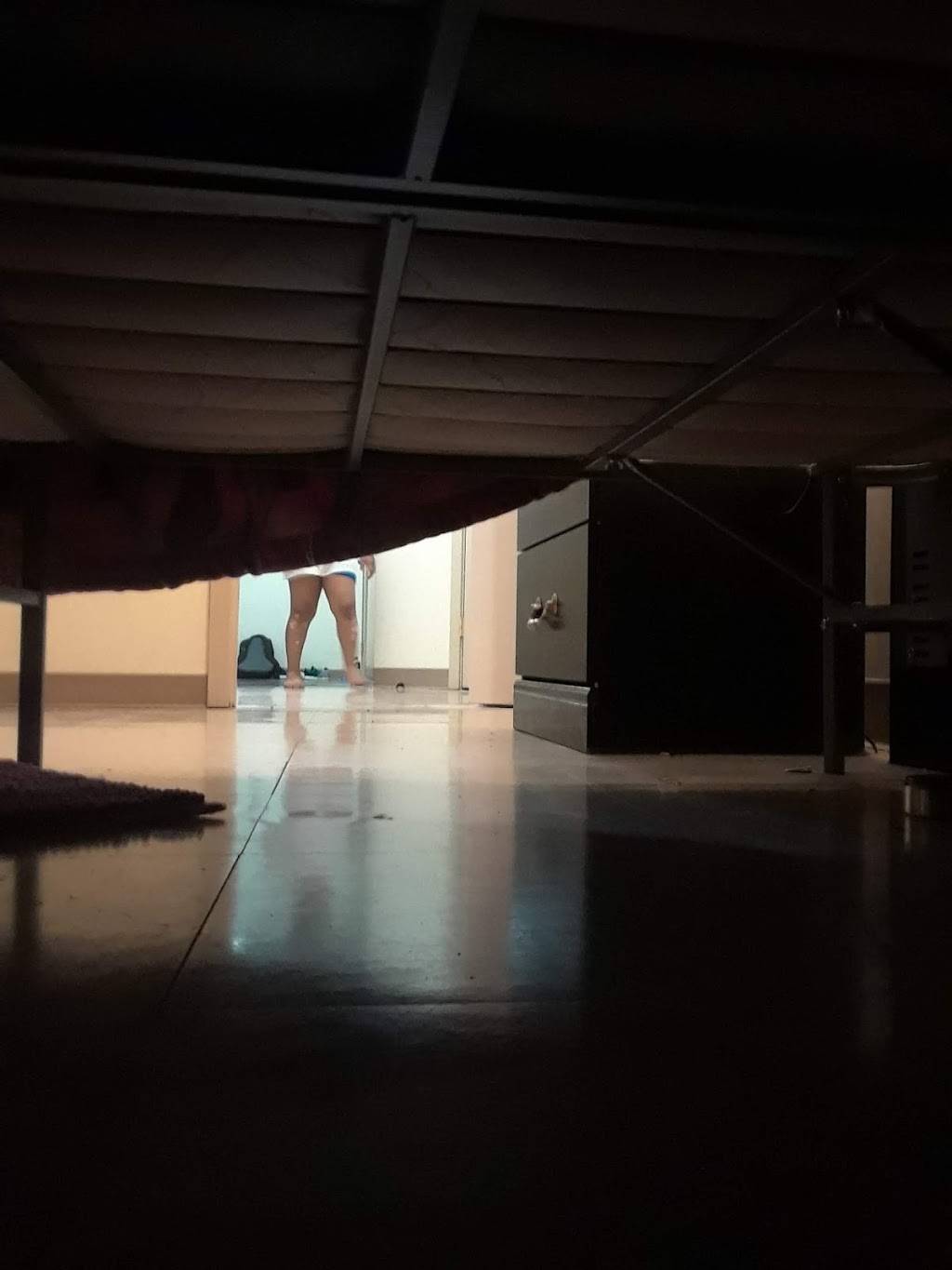 Blue Hill Cafe | restaurant | 491 Blue Hill Avenue, Dorchester, MA 02121, USA | 6177080221 OR +1 617-708-0221