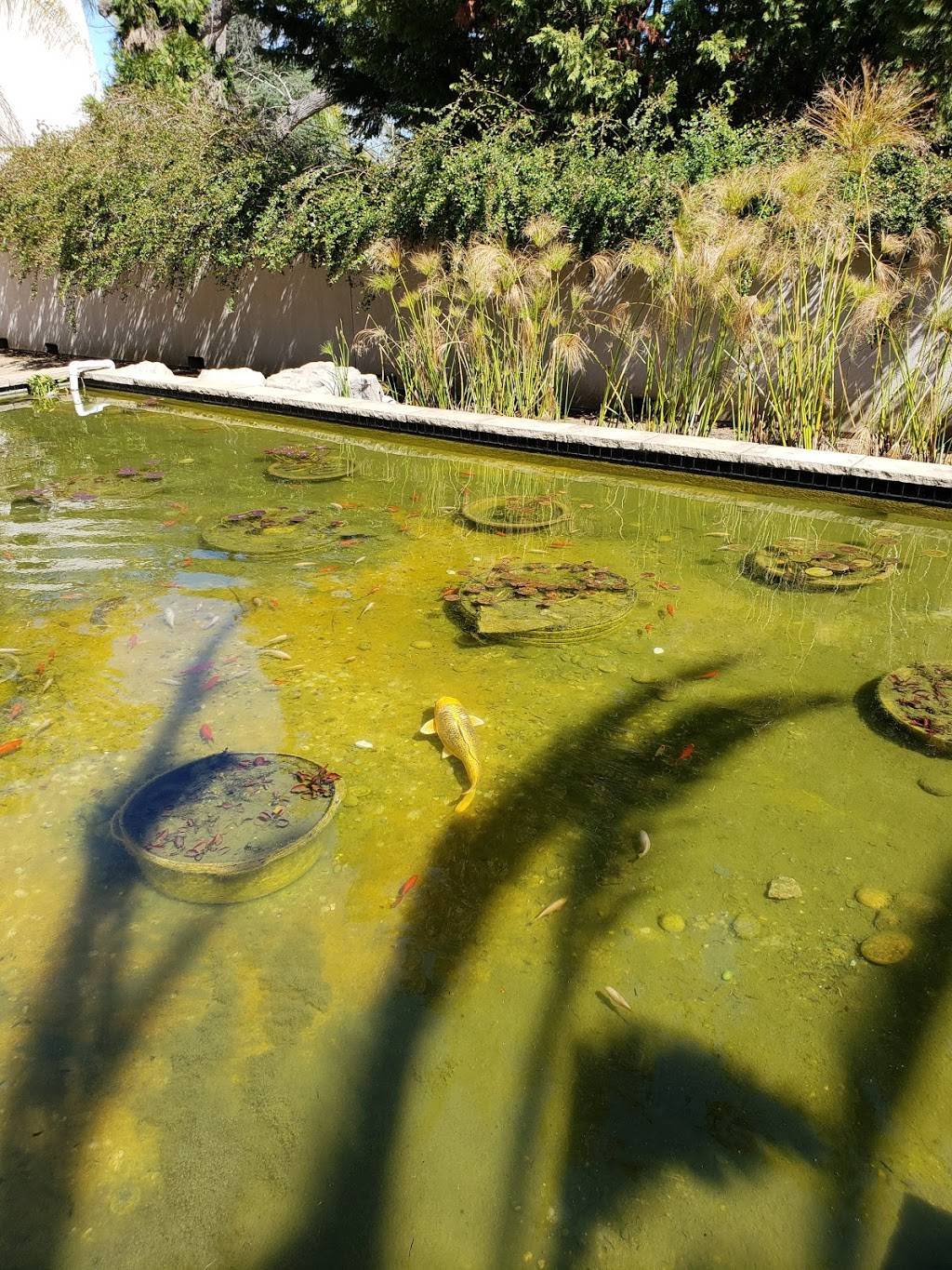 Starbucks | cafe | 1700 Park Ave #10, San Jose, CA 95126, USA | 4082712713 OR +1 408-271-2713