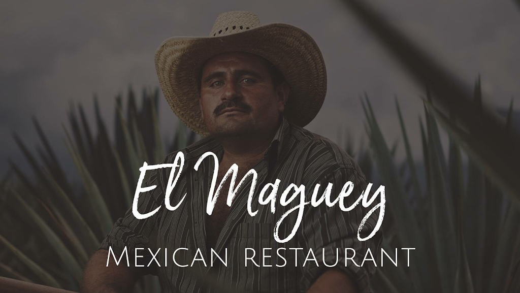 El Maguey | restaurant | 631 N Glenstone Ave, Springfield, MO 65802, USA | 4178651453 OR +1 417-865-1453