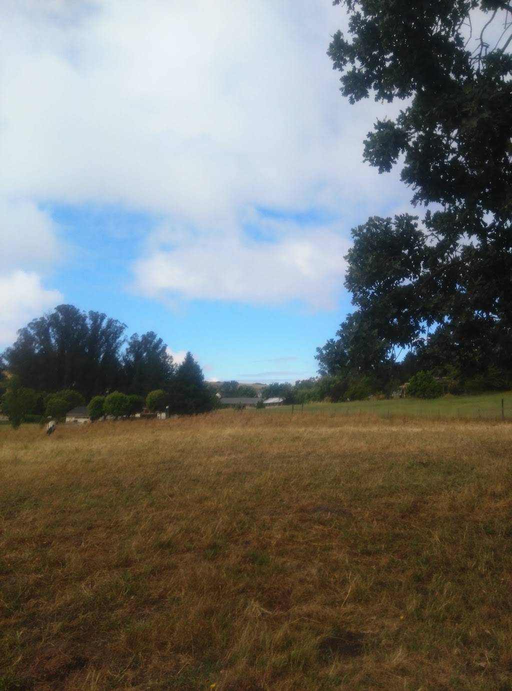 R&E Sweets Company | restaurant | Cotati, CA 94931, USA | 7077034944 OR +1 707-703-4944