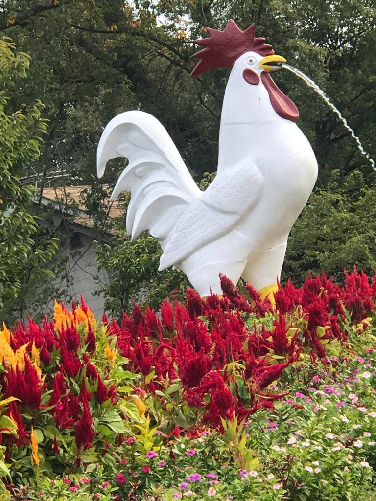 Bello poultry farm | restaurant | 411 Union Ave, Holbrook, NY 11741, USA | 6314673244 OR +1 631-467-3244