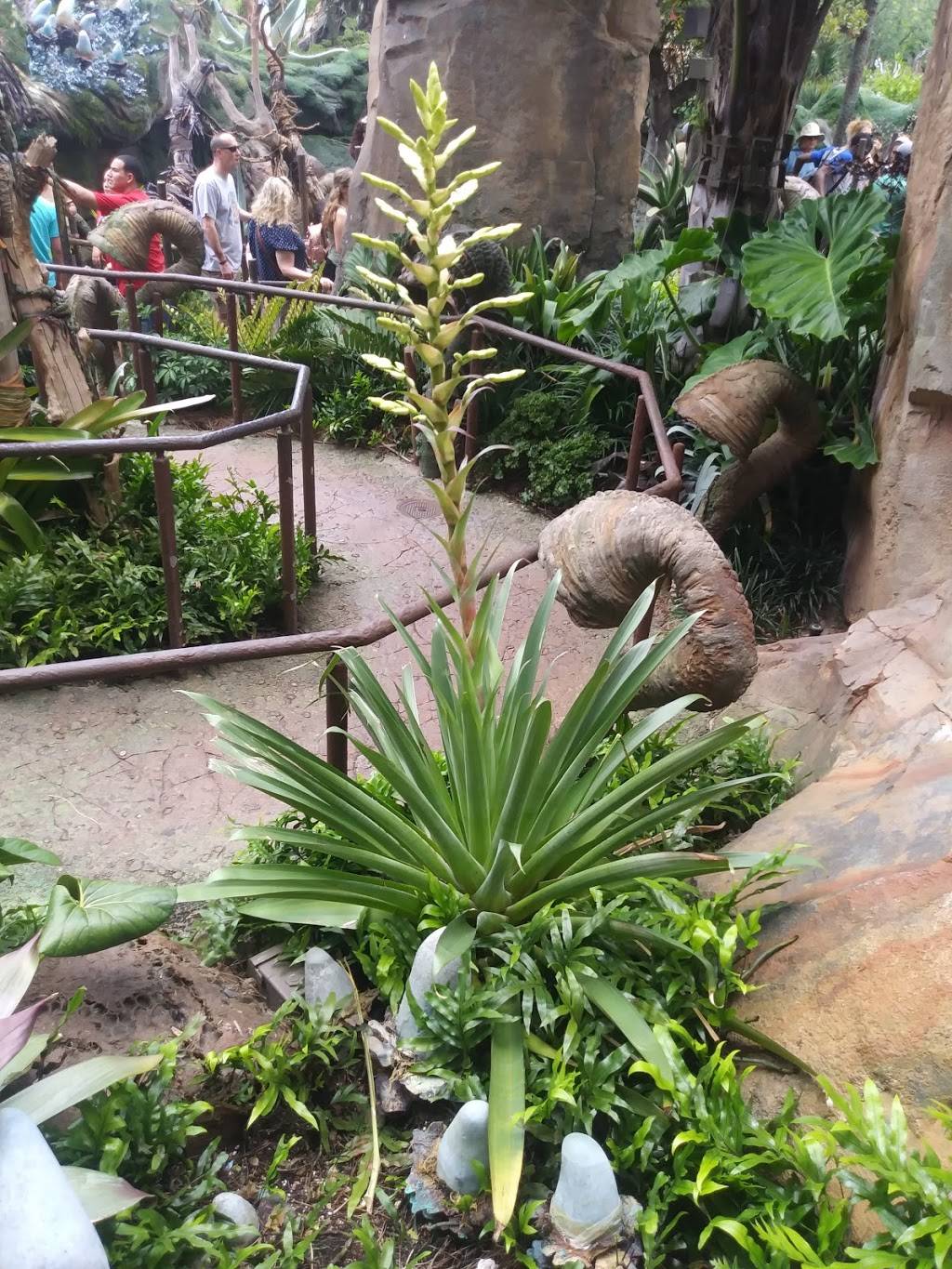 Pongu Pongu | restaurant | 2901 Osceola Pkwy Suite F, Orlando, FL 32830, USA | 4079395277 OR +1 407-939-5277