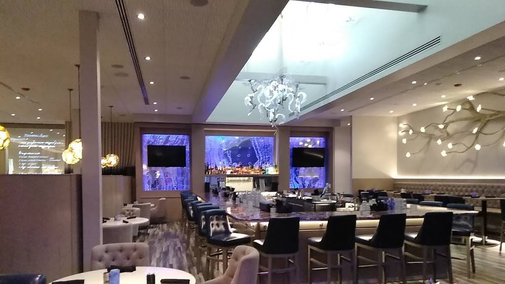 The Sacred Pepper | restaurant | 15405 N Dale Mabry Hwy, Tampa, FL 33618, USA | 8136098000 OR +1 813-609-8000