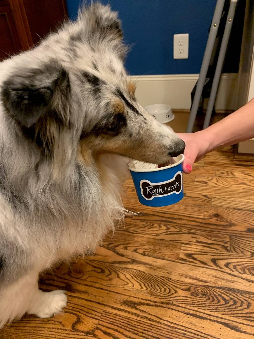 Rush Bowls | restaurant | 6001 Washington Ave Suite 200, Houston, TX 77007, USA | 8326492348 OR +1 832-649-2348