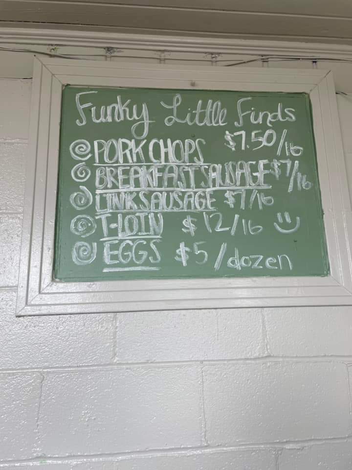 Funky Little Shack | restaurant | 606 S Main St, Brundidge, AL 36010, USA | 3344922870 OR +1 334-492-2870