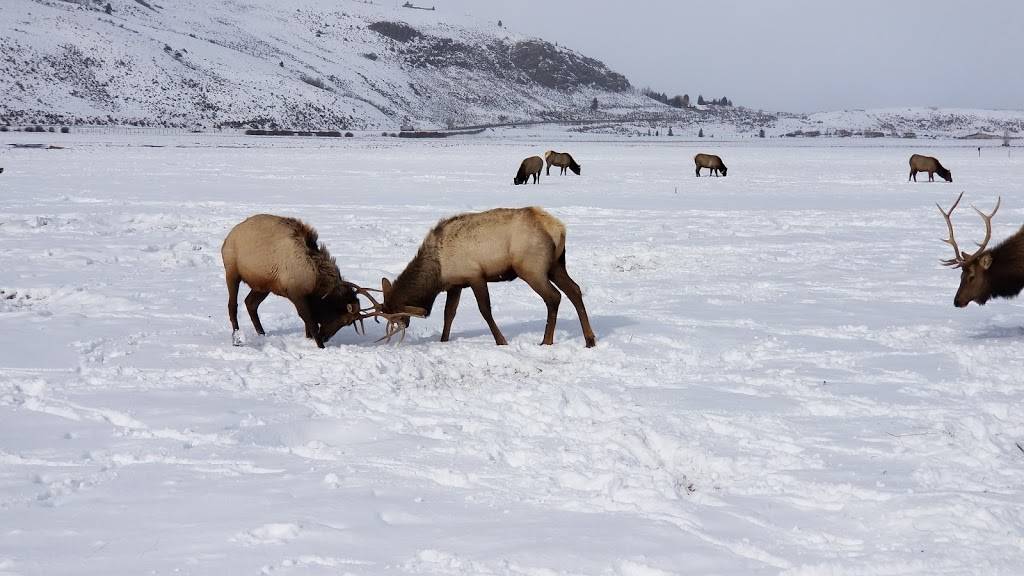 Fireside Dining | restaurant | 9200 Marsac Ave #306, Park City, UT 84060, USA | 4356456632 OR +1 435-645-6632