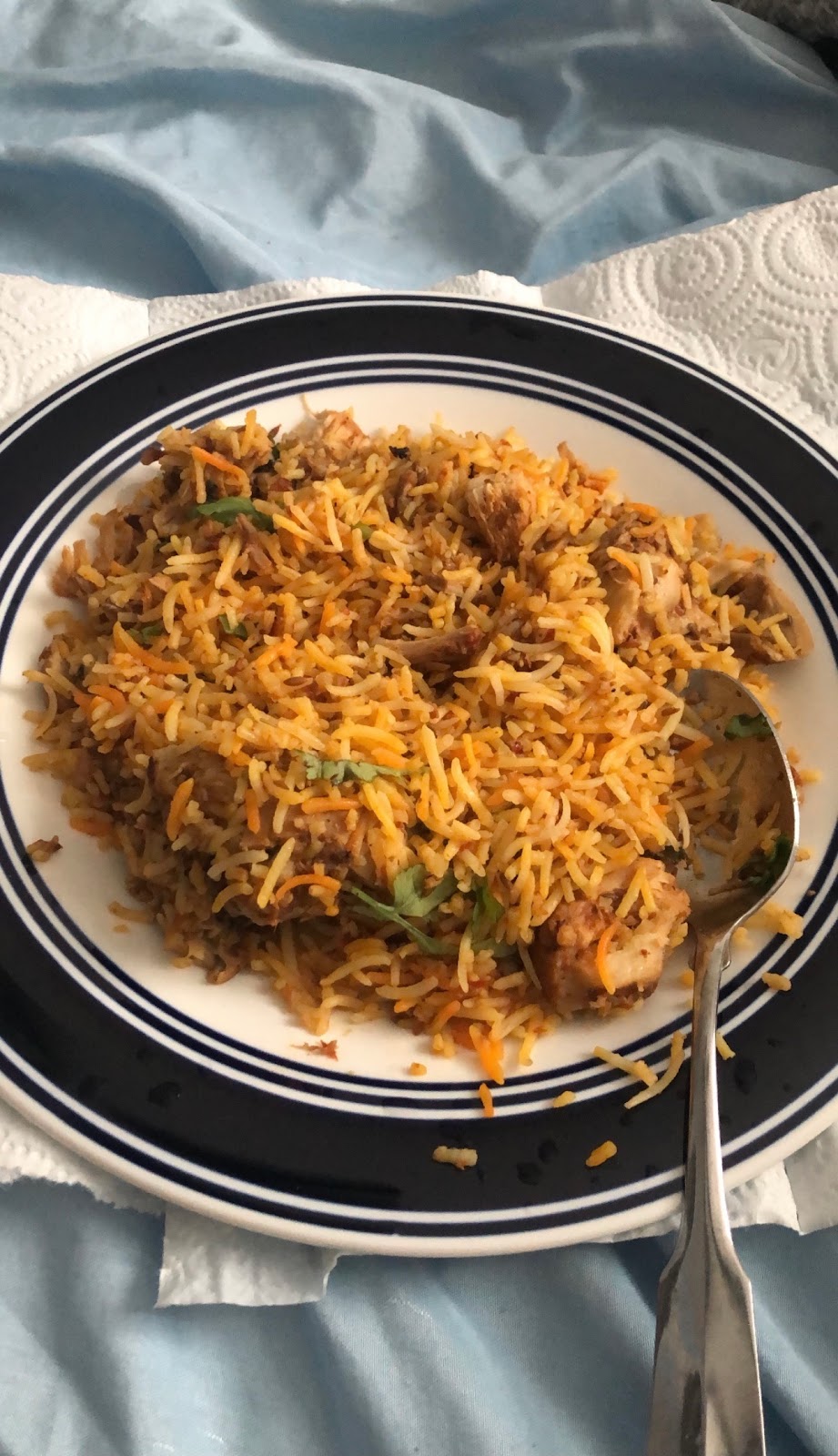 Providence Biryani | restaurant | 65 Bath St, Providence, RI 02908, USA | 4013549426 OR +1 401-354-9426