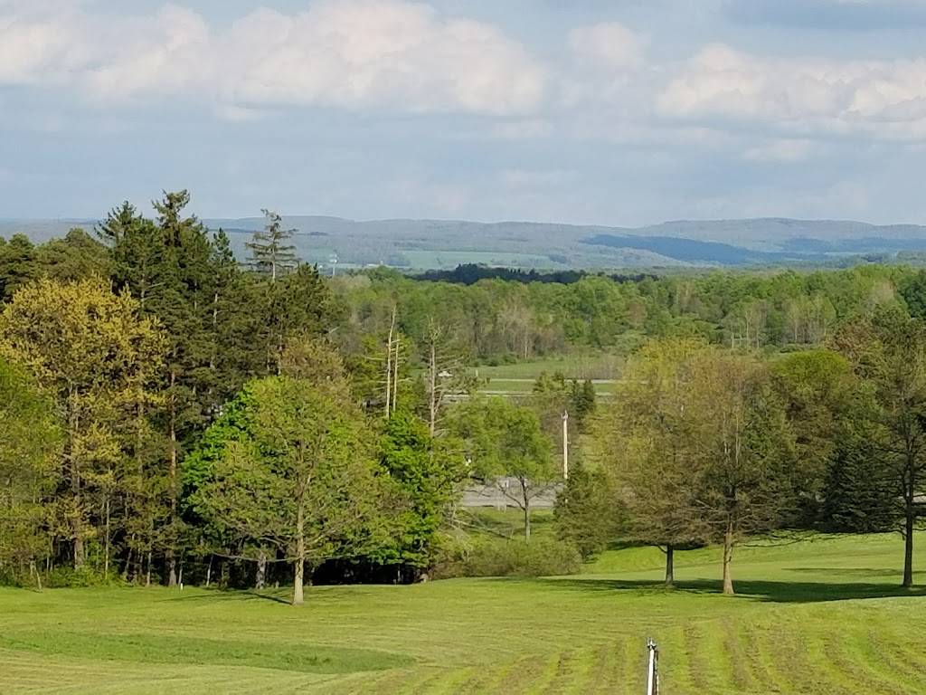 Moonbrook Country Club | restaurant | 2879 N Main Street Ext, Jamestown, NY 14701, USA | 7164841935 OR +1 716-484-1935