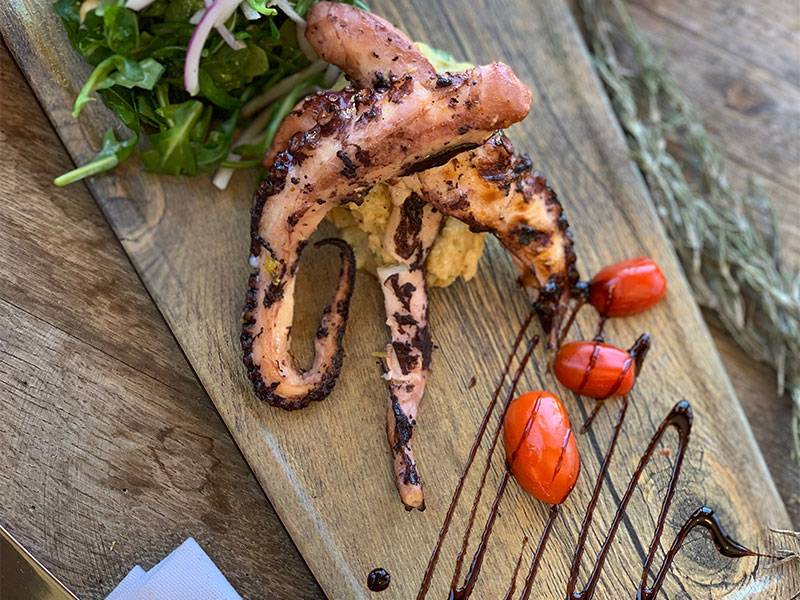 Panini Grill | restaurant | 31 E Main St, Freehold, NJ 07728, USA | 7328455440 OR +1 732-845-5440