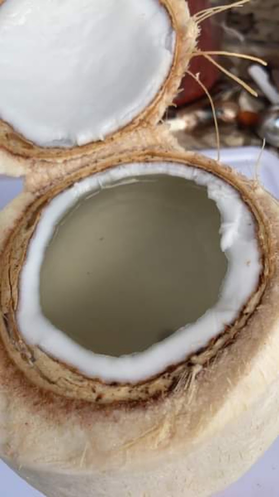 Tropical food sonmex | meal takeaway | 1530 suites b1, Main St, Ramona, CA 92065, USA | 7606543078 OR +1 760-654-3078