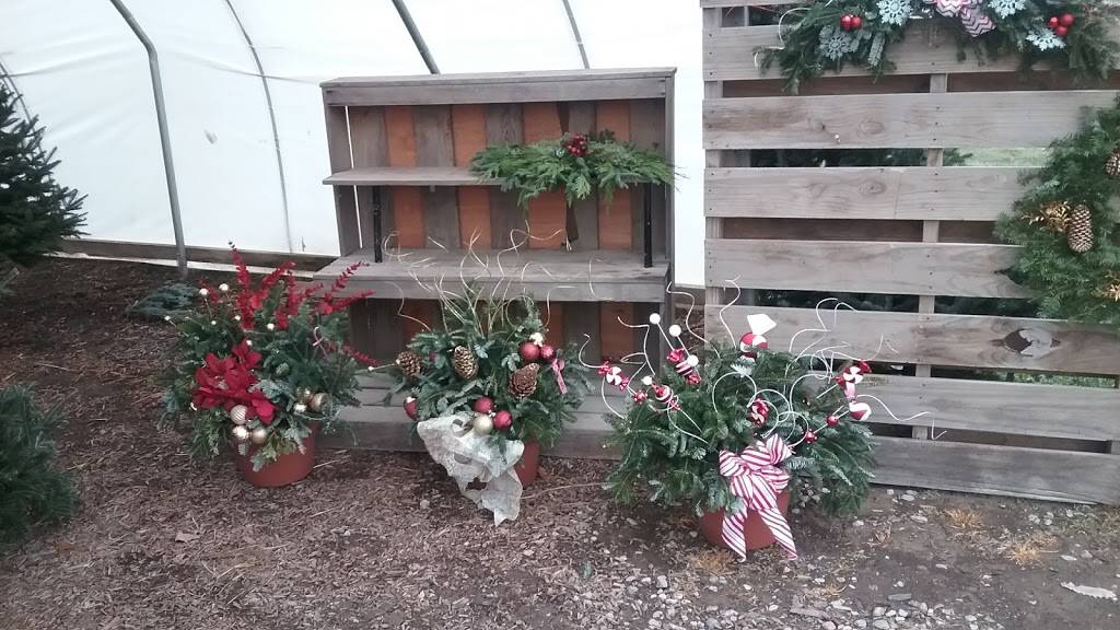 Keppelers | restaurant | 3211 Co Rd 6, Edgerton, OH 43517, USA | 4195192669 OR +1 419-519-2669