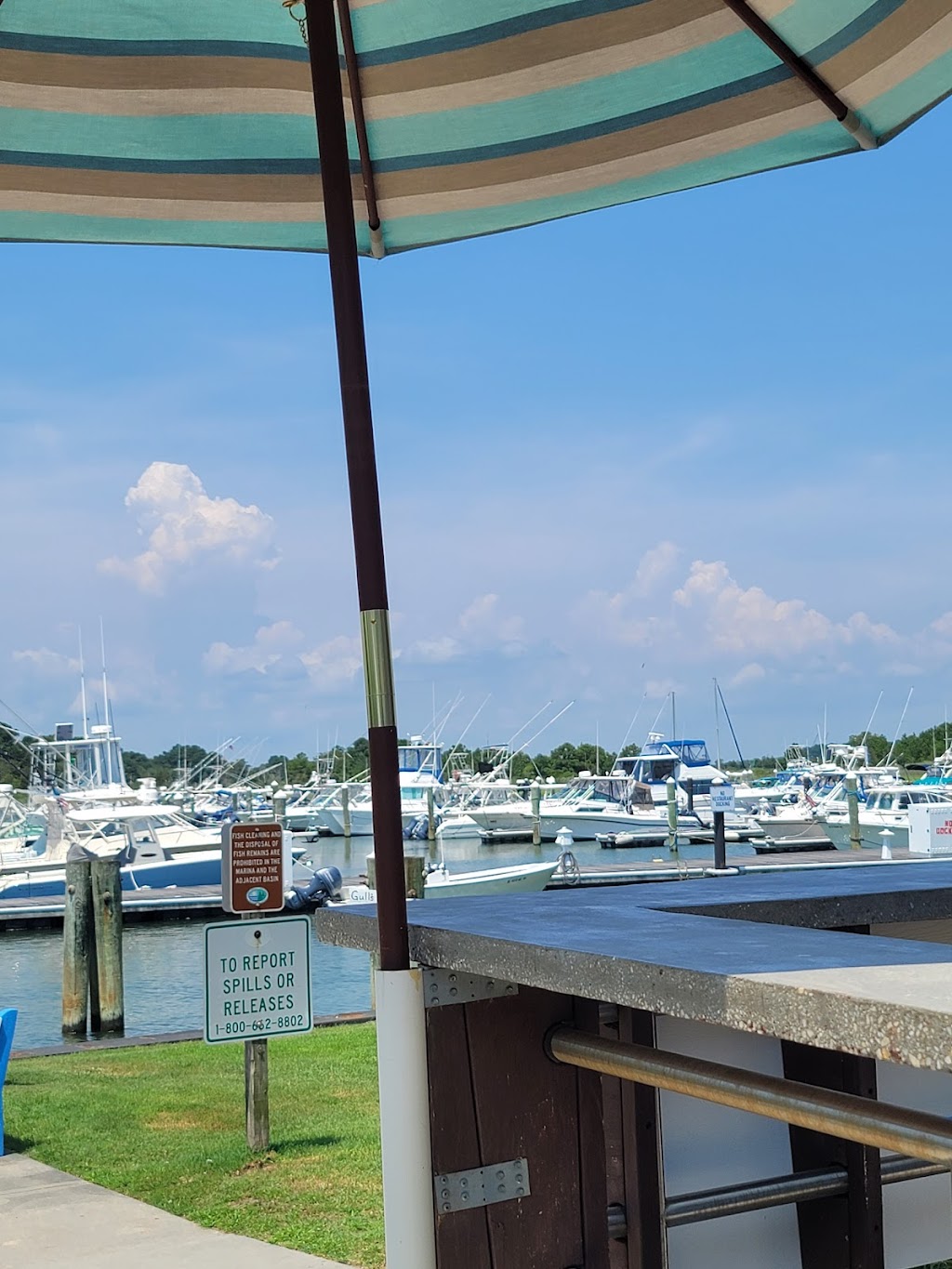 Dockside Marina Bar + Grill | restaurant | 39413 Inlet Rd, Rehoboth Beach, DE 19971, USA | 3022263625 OR +1 302-226-3625