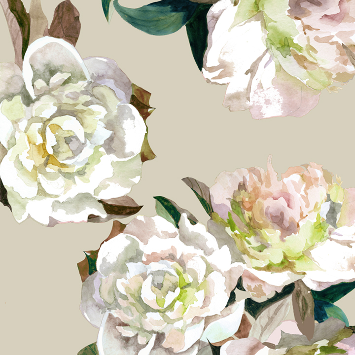 Carries Restaurant | restaurant | 330 Tijeras Ave NW, Albuquerque, NM 87102, USA | 5053026929 OR +1 505-302-6929