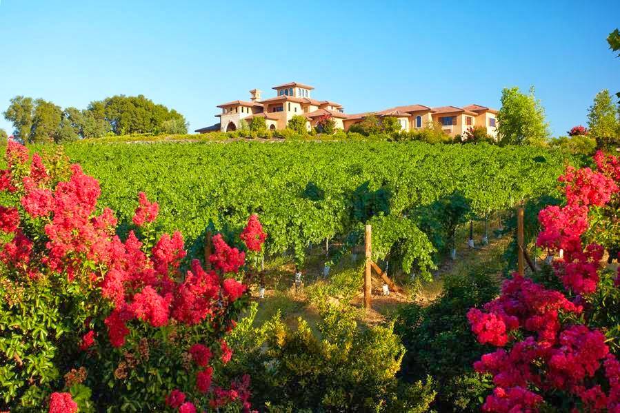 Wise Villa Winery | restaurant | 4200 Wise Rd, Lincoln, CA 95648, USA | 9165430323 OR +1 916-543-0323