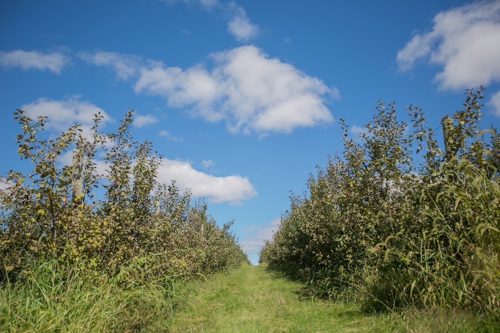 Wilsons Orchard & Farm | bakery | 4823 Dingleberry Rd NE #1, Iowa City, IA 52240, USA | 3193545651 OR +1 319-354-5651