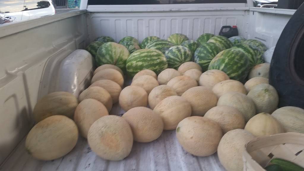 Route 55 Country Store & Grill | restaurant | 1791 55, Clover, SC 29710, USA | 8032224800 OR +1 803-222-4800