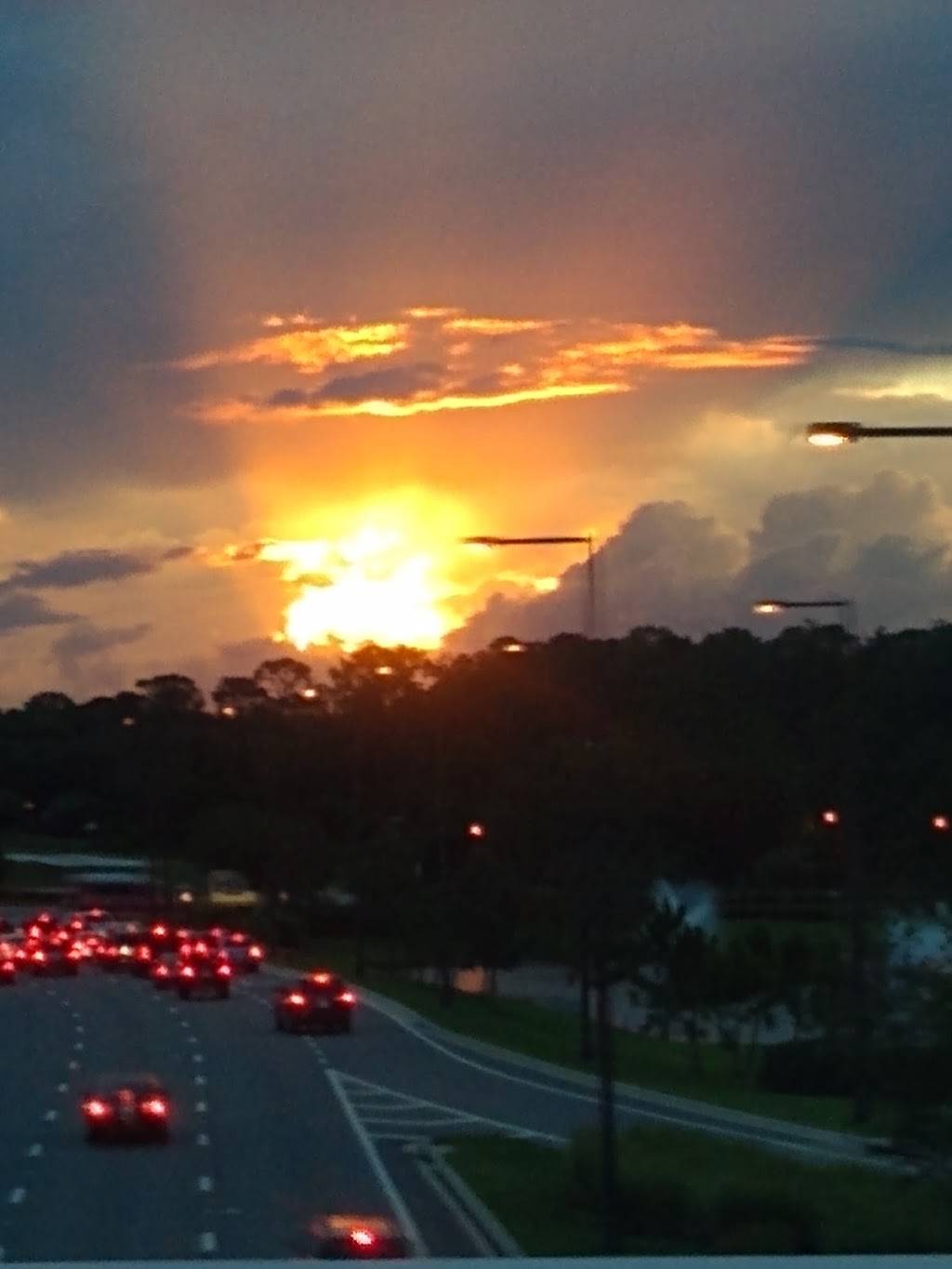 Dunkin | bakery | 1475 East Buena Vista Drive, Lake Buena Vista, FL 32830, USA | 4079380161 OR +1 407-938-0161