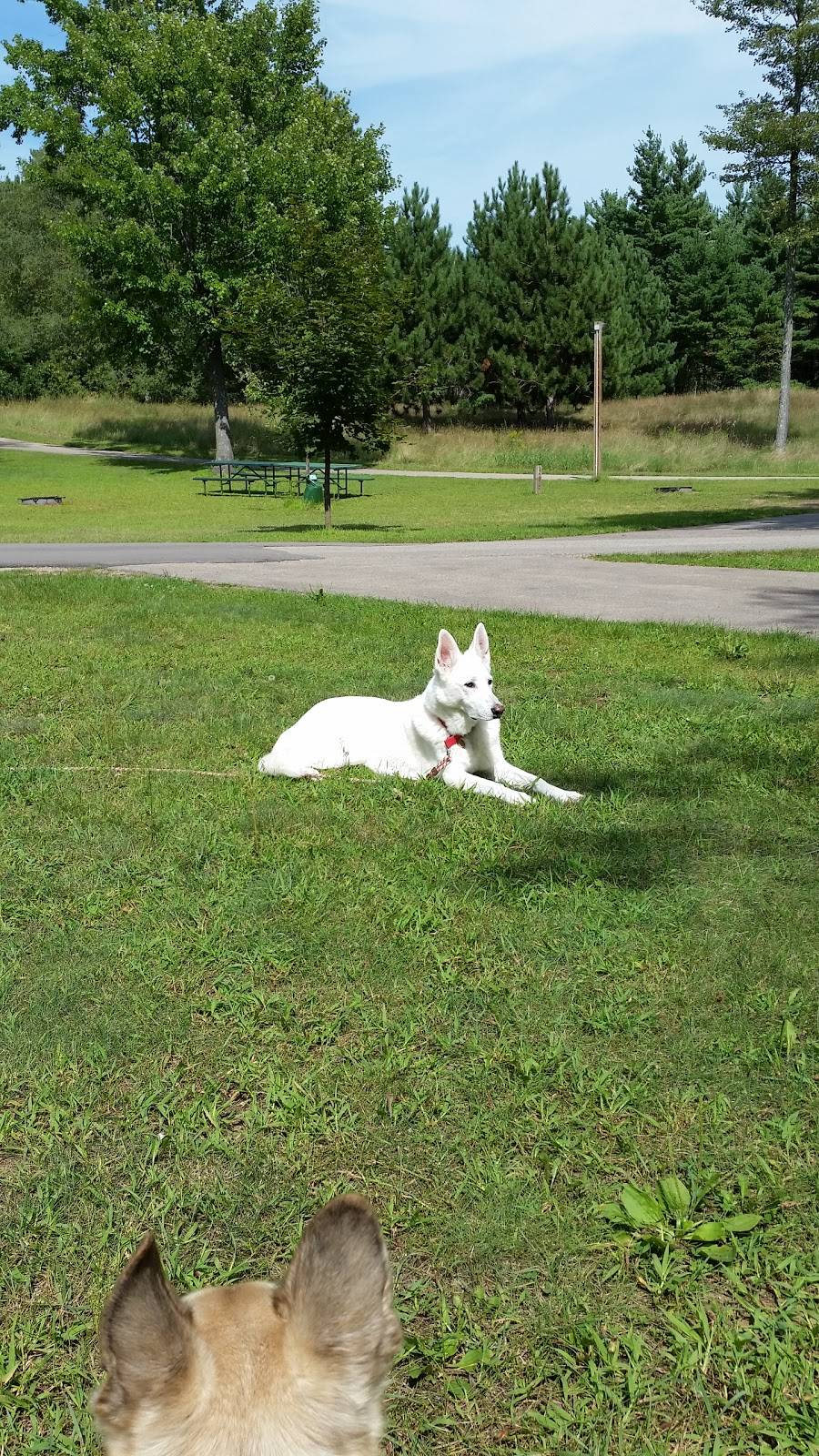 Shawano County Park | meal takeaway | W5791 Lake Dr, Shawano, WI 54166, USA | 7155244986 OR +1 715-524-4986