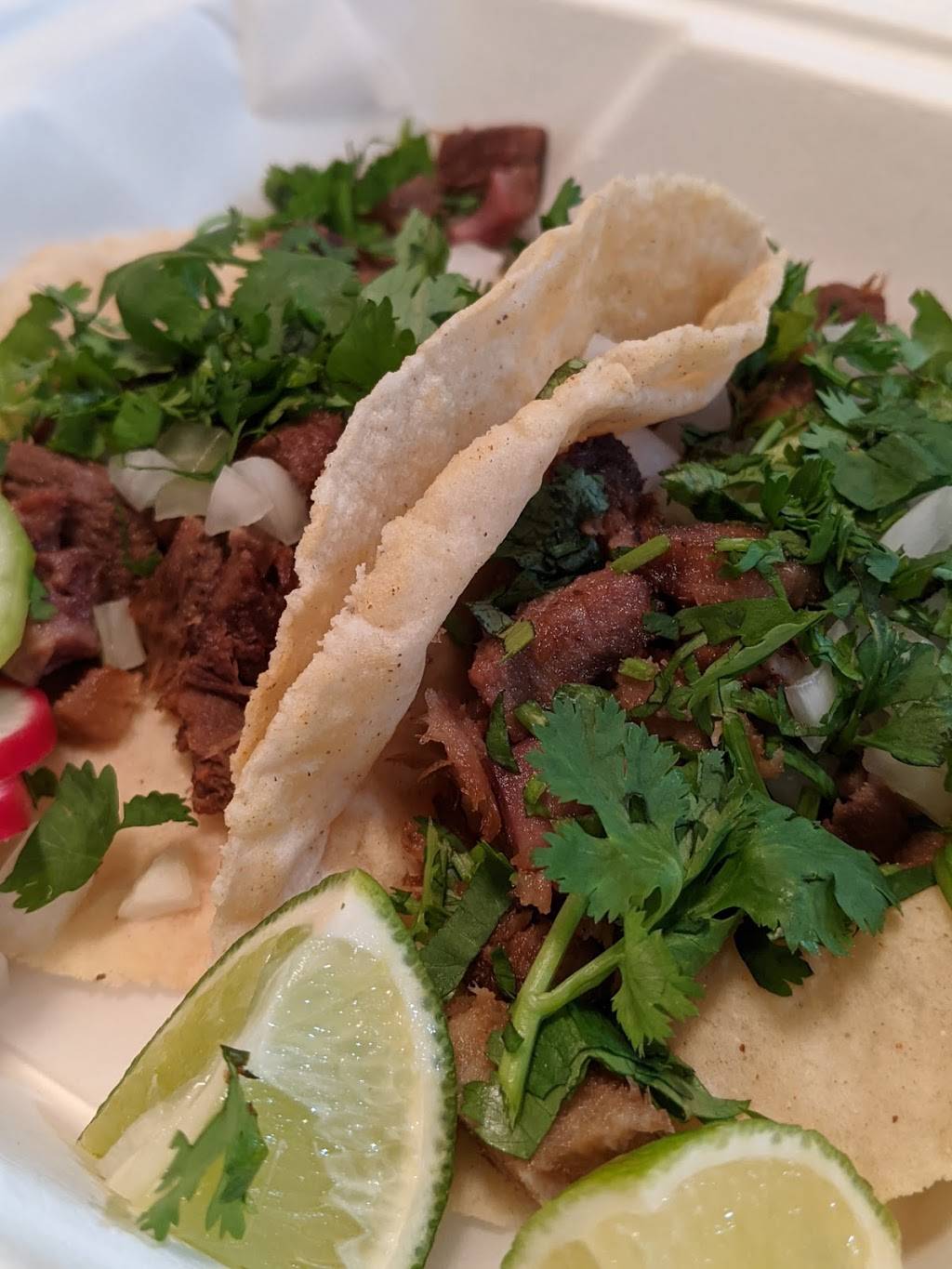 Taco & Co. | restaurant | 2521 Durant Ave Suite B, Berkeley, CA 94704, USA | 5107672680 OR +1 510-767-2680