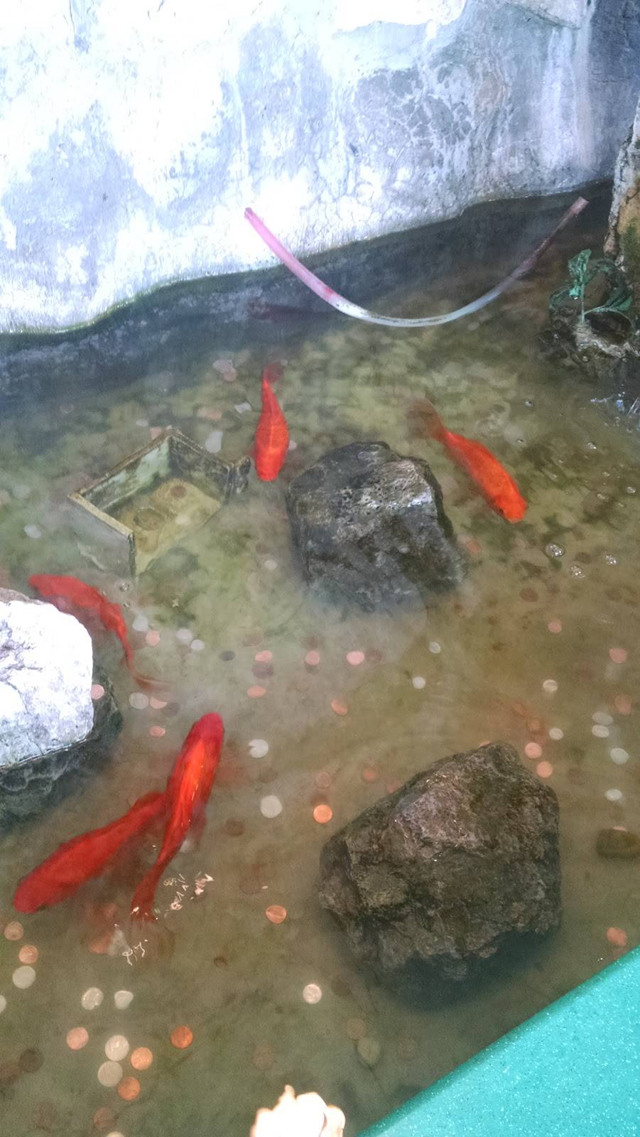 Buffet City | restaurant | 8617 W Brown Deer Rd, Milwaukee, WI 53224, USA | 4145869888 OR +1 414-586-9888