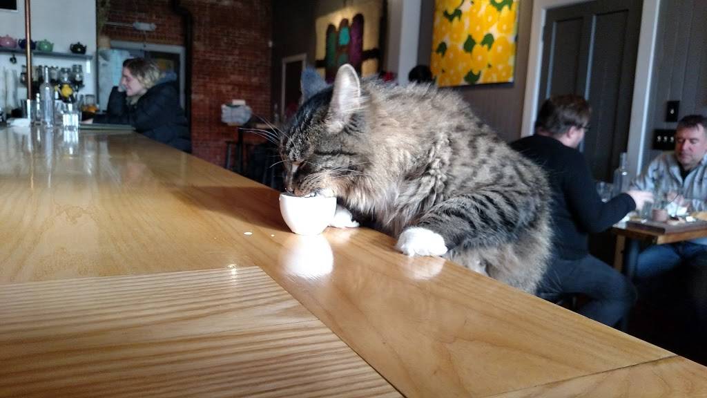 Five Eyed Fox | restaurant | 37 3rd St, Turners Falls, MA 01376, USA | 4138635654 OR +1 413-863-5654