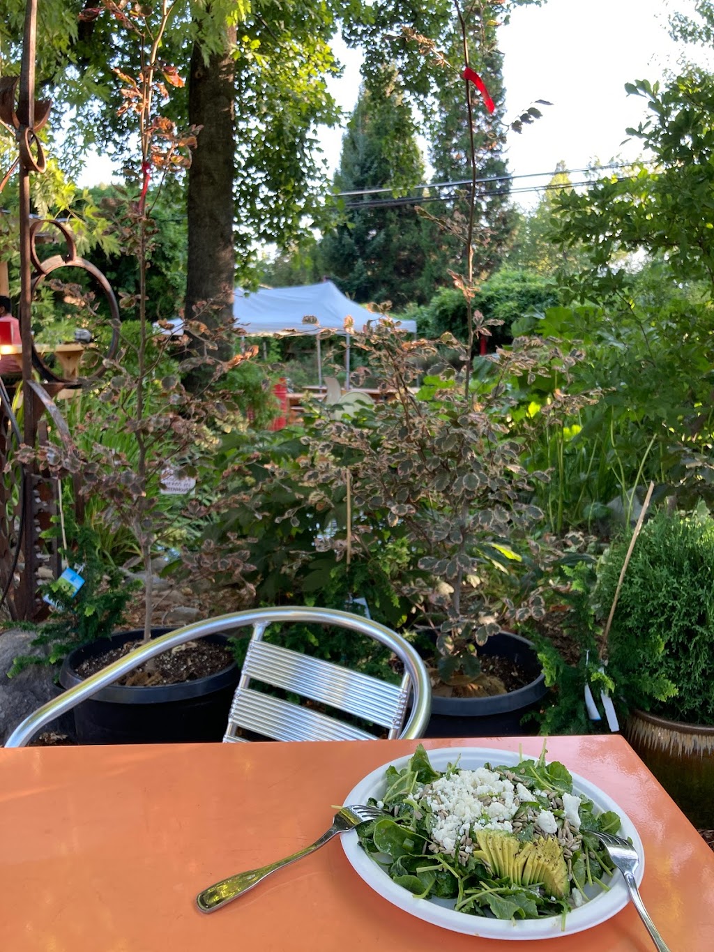 The Garden Tap | restaurant | 1172 S Mt Shasta Blvd, Mt Shasta, CA 96067, USA | 5305688101 OR +1 530-568-8101