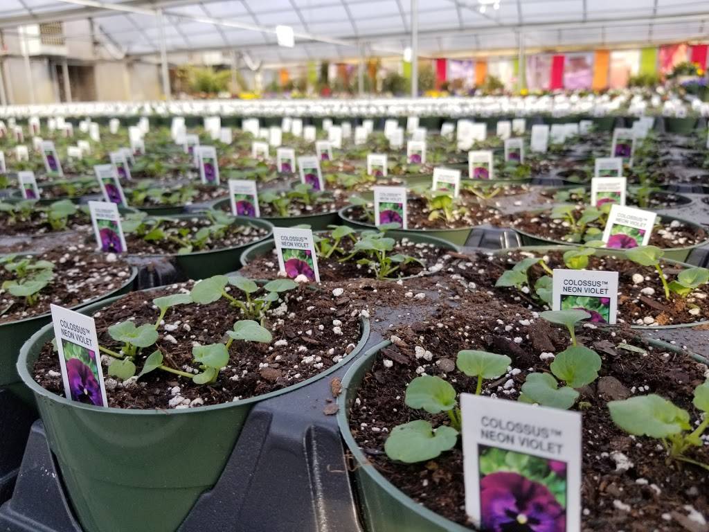 Andersons Newport News | cafe | 11250 Jefferson Ave, Newport News, VA 23601, USA | 7575993510 OR +1 757-599-3510