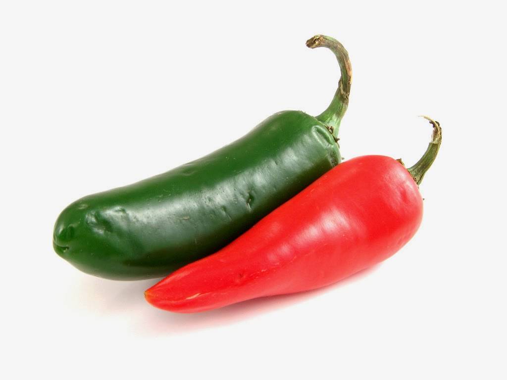 El Rancho Mexican Restaurant | restaurant | 2747 16th Ave SW, Cedar Rapids, IA 52404, USA | 3192988844 OR +1 319-298-8844