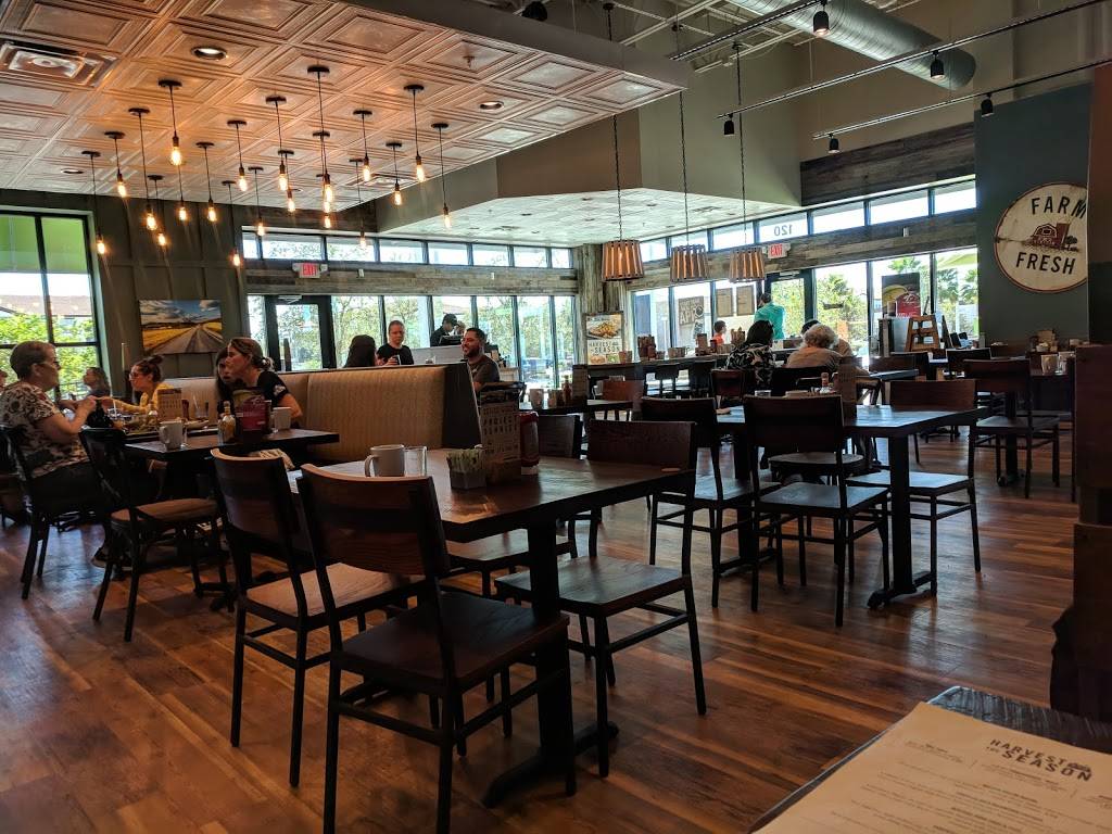 First Watch - West Windermere | cafe | 7910 Winter Garden Vineland Rd, Windermere, FL 34786, USA | 4076122022 OR +1 407-612-2022