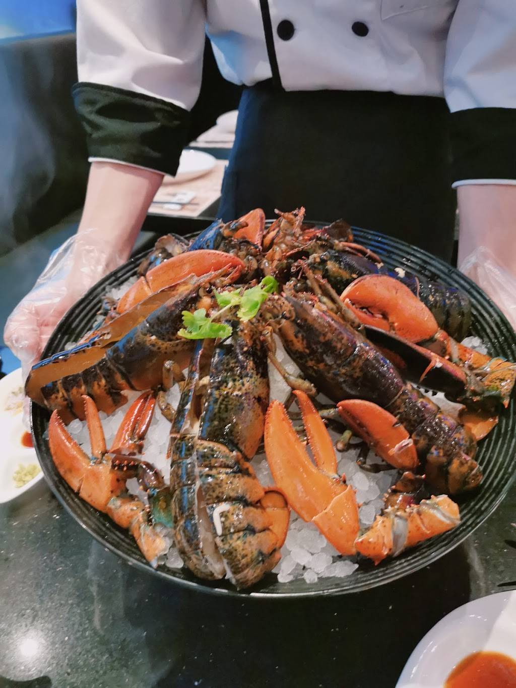 Day&Night Angus Beef . King Crab | restaurant | 680 Silver Star Blvd #306, Scarborough, ON M1V 5N1, Canada | 4166091111 OR +1 416-609-1111