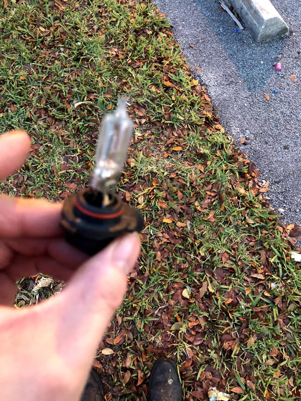 China Cafe | restaurant | 11419 W Palmetto Park Rd # C, Boca Raton, FL 33428, USA | 5618832550 OR +1 561-883-2550