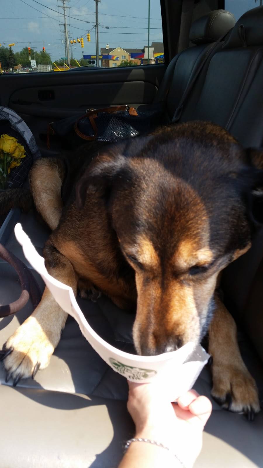 Starbucks | cafe | 1221 Demille Rd, Lapeer, MI 48446, USA | 8106670981 OR +1 810-667-0981