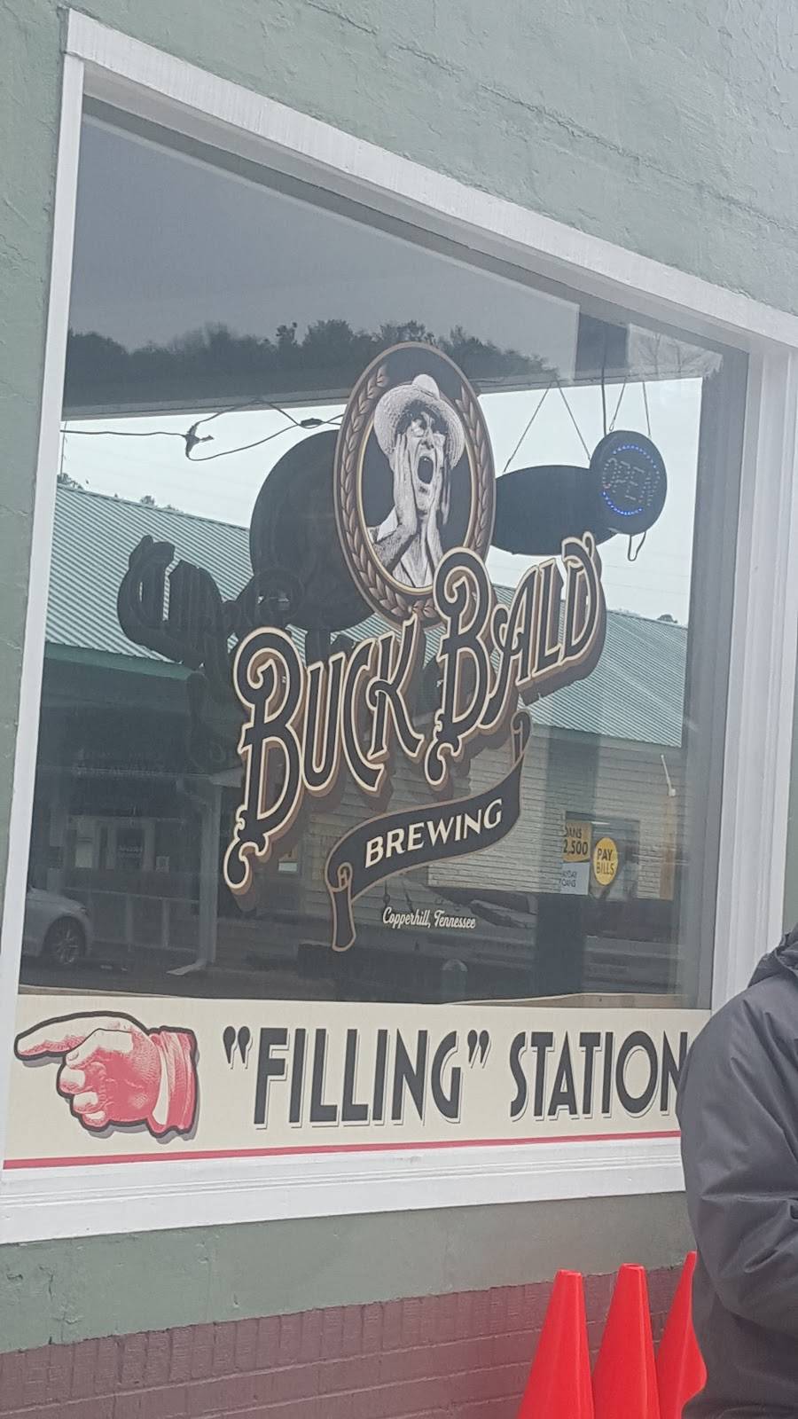 Buck Bald Brewing | restaurant | 160 Ocoee St, Copperhill, TN 37317, USA | 7064317141 OR +1 706-431-7141
