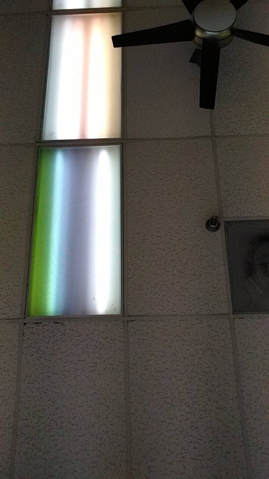 New China II | restaurant | 1030 W 41st St, Baltimore, MD 21211, USA | 4108890600 OR +1 410-889-0600