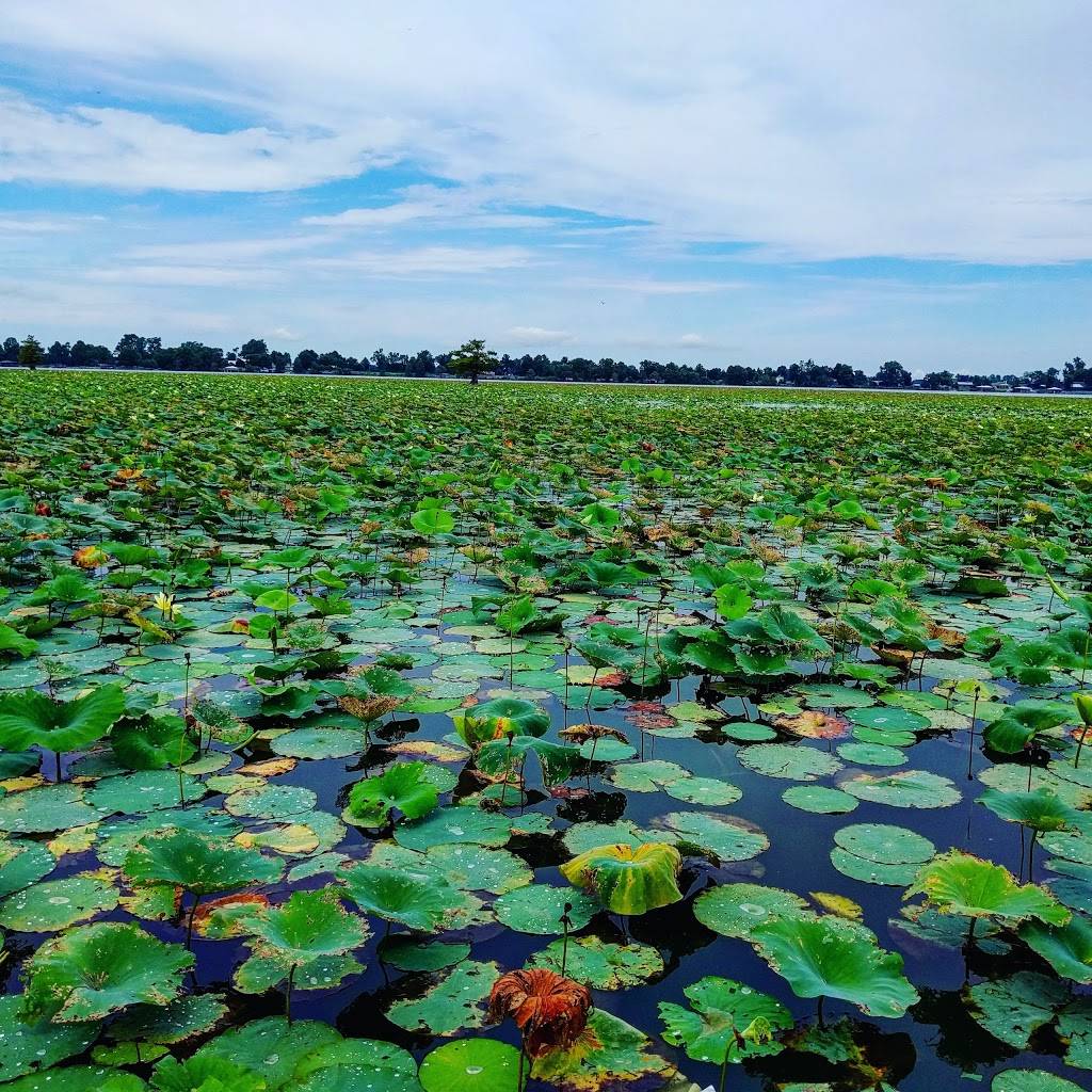 Kamp KareFree Landing | restaurant | 59 Bass Rd, Hughes, AR 72348, USA | 8703392828 OR +1 870-339-2828