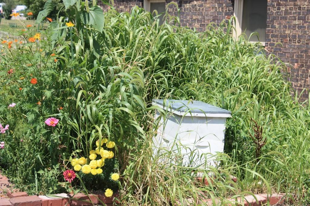 Arcadia Brewing Company Battle Creek | restaurant | 103 Michigan Ave, Battle Creek, MI 49017, USA | 2699639690 OR +1 269-963-9690