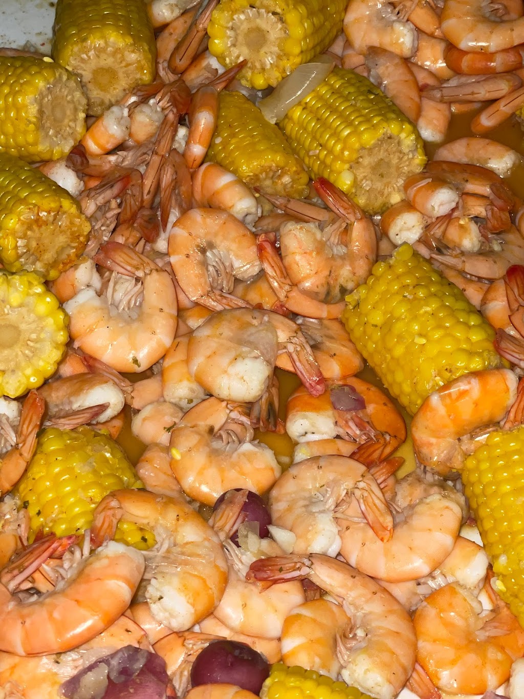 The Landshark Forgotten Coast | restaurant | 8134 W Hwy 98, Port St Joe, FL 32456, USA | 8502766773 OR +1 850-276-6773