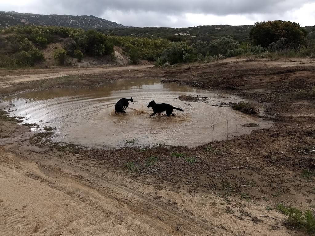 McDonalds | cafe | 3665 N Harbor Dr Building G-1, San Diego, CA 92101, USA | 6195449612 OR +1 619-544-9612