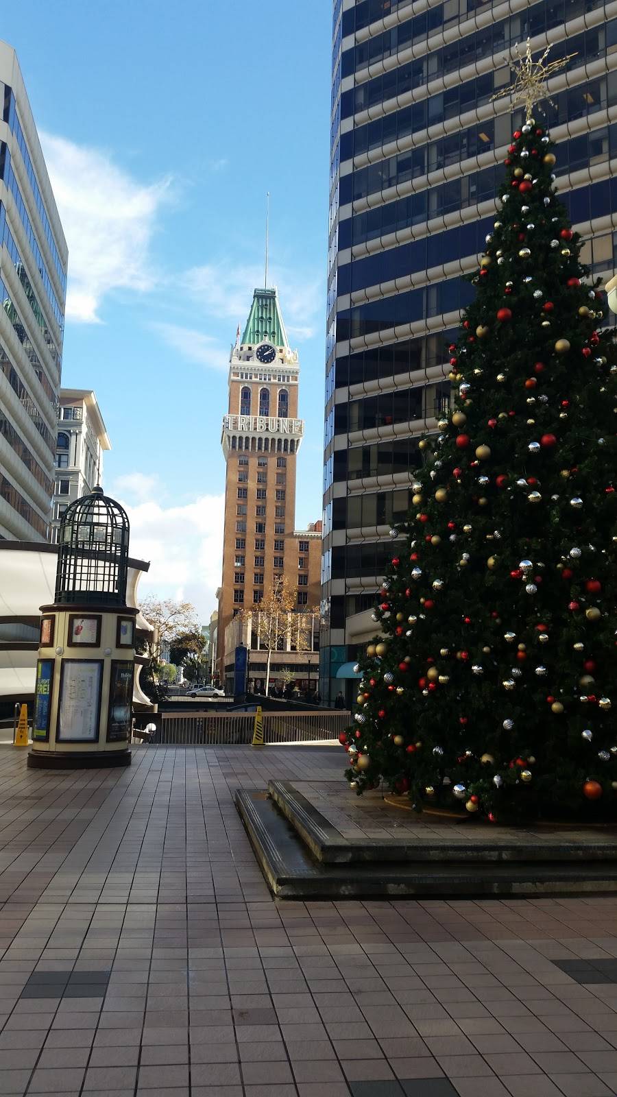 La Salsa | restaurant | 501 14th St #24, Oakland, CA 94612, USA | 5108343422 OR +1 510-834-3422