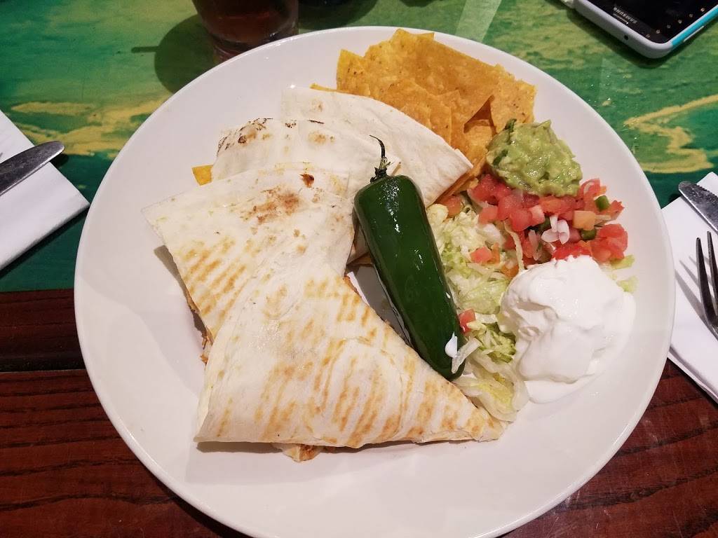 Margaritaville Restaurant | night club | 6000 Universal Studios Plaza #704, Orlando, FL 32819, USA | 4072243663 OR +1 407-224-3663