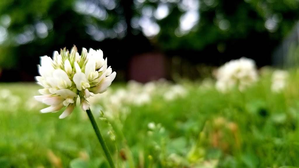 Los Tres Amigos | restaurant | 3109 Drake Ave SW, Huntsville, AL 35805, USA | 2562137112 OR +1 256-213-7112