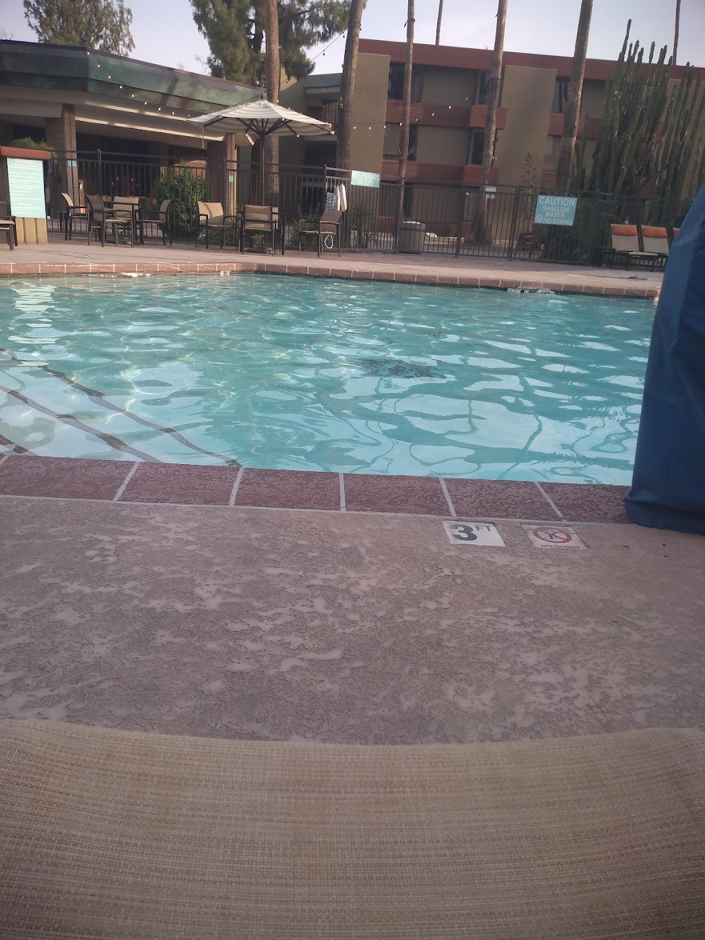 Milagros | restaurant | 2100 S Priest Dr, Tempe, AZ 85282, USA | 4808045223 OR +1 480-804-5223