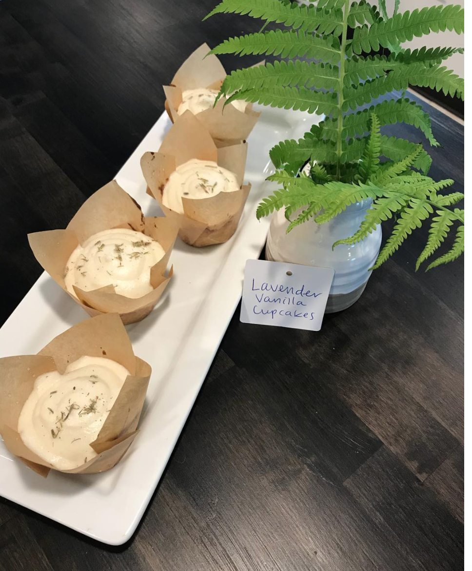 Velō Cafe | cafe | 13425 Co Hwy M, Cable, WI 54821, USA | 7157988356 OR +1 715-798-8356