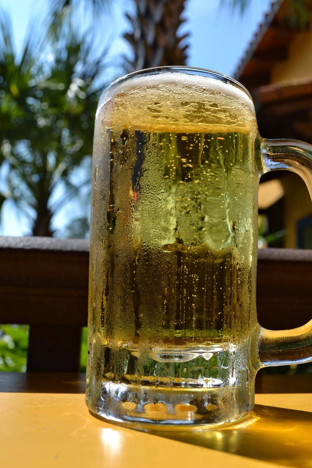 Las Margaritas | restaurant | 4405 NW 39th Ave, Gainesville, FL 32606, USA | 3523746699 OR +1 352-374-6699