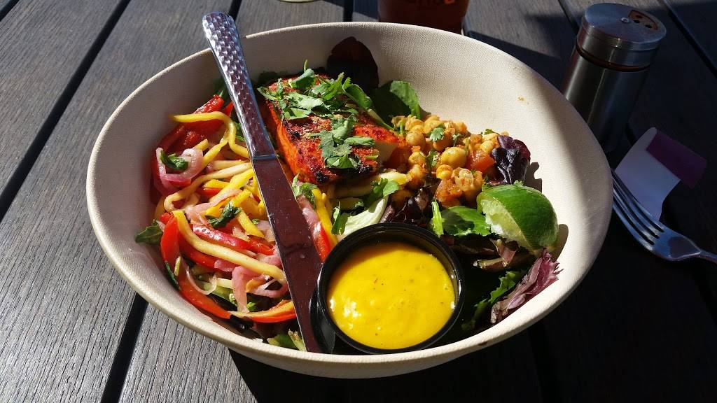 Tandur Indian Kitchen | restaurant | 6502 Kingston Pike, Knoxville, TN 37919, USA | 8652497254 OR +1 865-249-7254