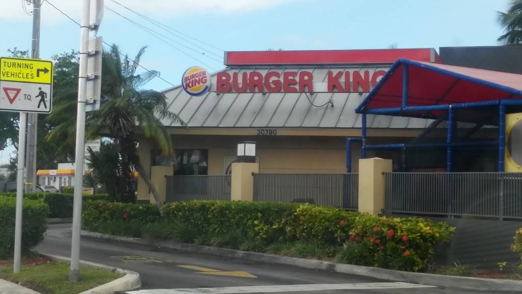 Burger King | restaurant | 30390 S Dixie Hwy, Homestead, FL 33033, USA | 3052477181 OR +1 305-247-7181